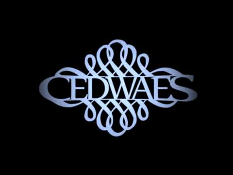 CEDWAES - Tak To Wyglada (REMIX)