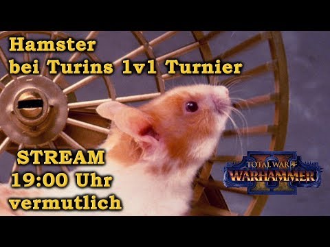 Hamster in Turins Turnier 1v1 STREAM  - Total War: Warhammer 2 Deutsch