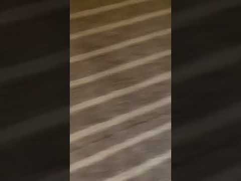 Hilton Honors - Poor Quality Hotel and Hygiene - Image 4