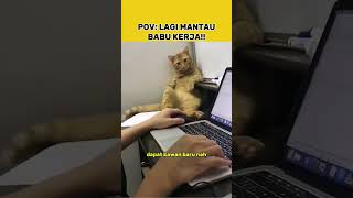 Download lagu Lagi Santai Kawan!! #cat #kucinglucu #kucing #kucingimut mp3