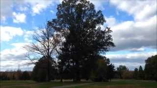 Brett Fuentes - The Devil &amp; Music