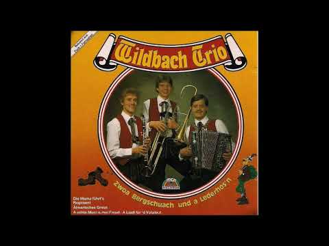 05.Wildbach Trio - Hätt' ma's net dann tät ma's net