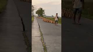 Download lagu akhirnya ketemu version Thai sucat😅🦆🦆🦆 #shorts #laguviral #laguviraltiktokterbaru#sucat mp3