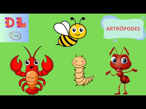 Artrópodes para crianças