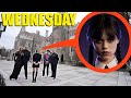 If you ever see Wednesday and the Addams Family, Turn away and RUN FAST!!