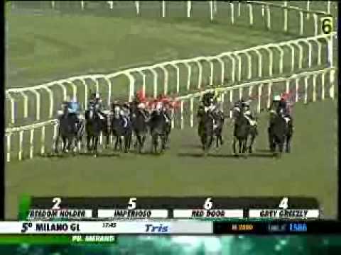 01/06/2014, Milano , Premio Merano Tris Str.