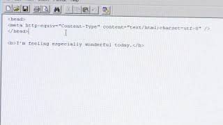 How to Use an Apostrophe in HTML