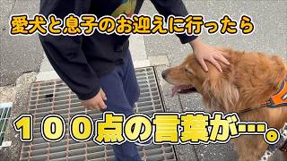 息子も犬と暮らして３年が経ち、思いやりのある子に成長してきました