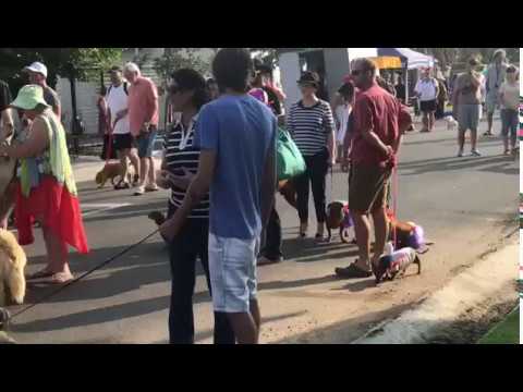 The first ever ARTdog event kicks off...