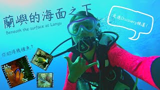 Beneath the surface of Lanyu Orchid Island - why can't I say hi to the fish?