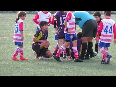 Padroense s11 vs Aldeia Nova s11b