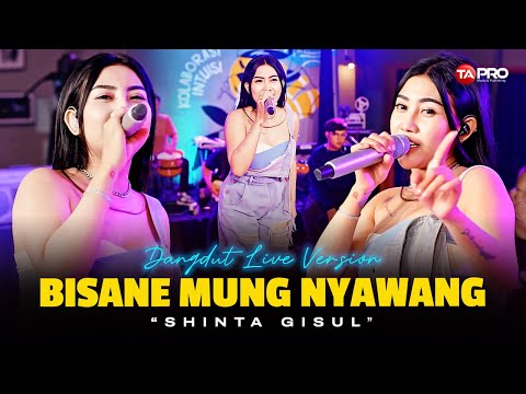 BISANE MUNG NYAWANG - Shinta Gisul (Live Dangdut Electone Lembayung Music) | Getun rasane ati