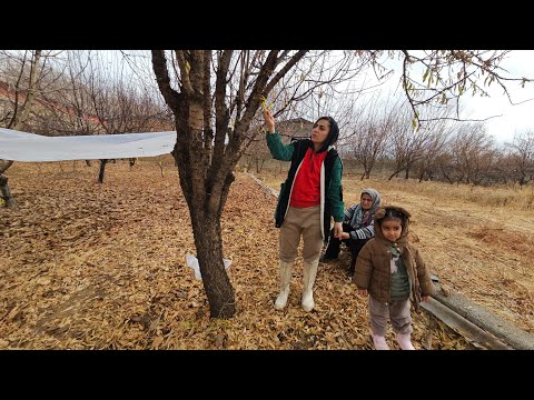 Fatima's stormy beginning in the Garden of Heaven