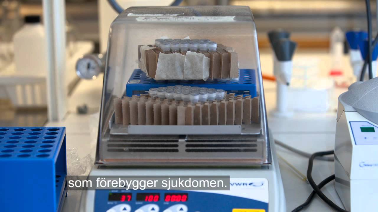 Peter Nilsson develops multifunctional tools for diagnosis and therapy