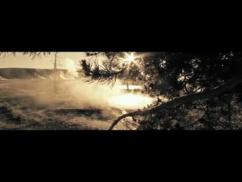 Seagull - Saturday Sun