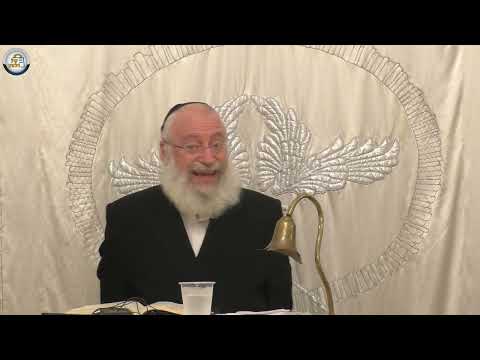 נטילת לולב ביד מלאכותית | שיעור מאת הרב אשר וייס שליט"א (תשפ"ה)