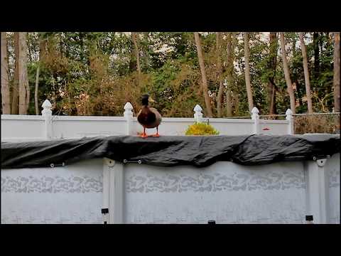 A Little About Little Egg Harbor, New Jersey, USA