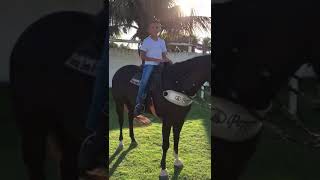 Jesus me mandou ao mundo - Kara Veia