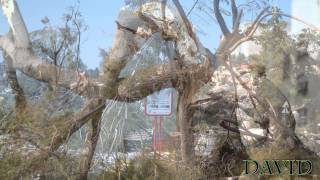 סופת השלגים הכי גדולה שהיתה ישראל ! \ Israel snowstorm