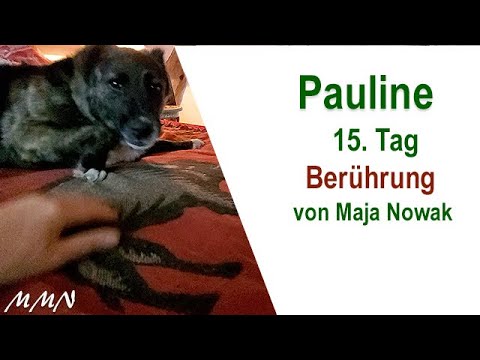 Berührung - Pauline 15.Tag