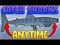 How To Catch EVERY Shark ANYTIME Catch Great White Sharks Whale Sharks Great Hammerhead Shark