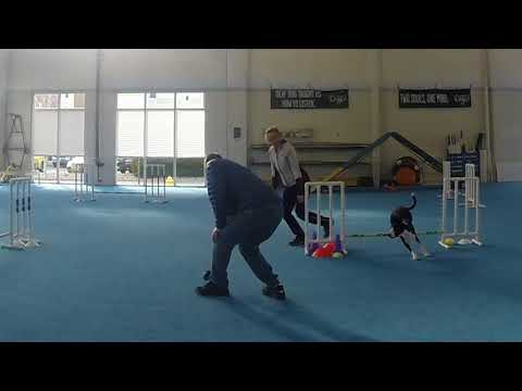 2017 12 13 Tess V Sets