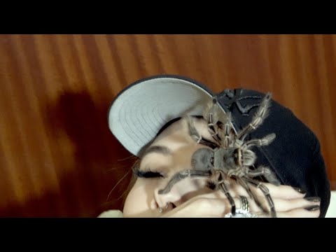 Miniatura de FOMO