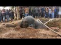 Elephant Rescued From 20 Feet Dry Well With The Help Of JCB In Southern East India
