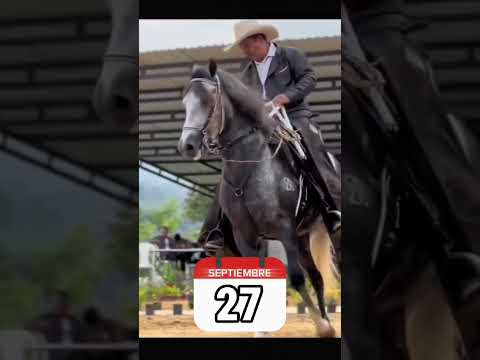 Elegancia, pasión y el mejor espectáculo equino en un solo lugar 🐴✨