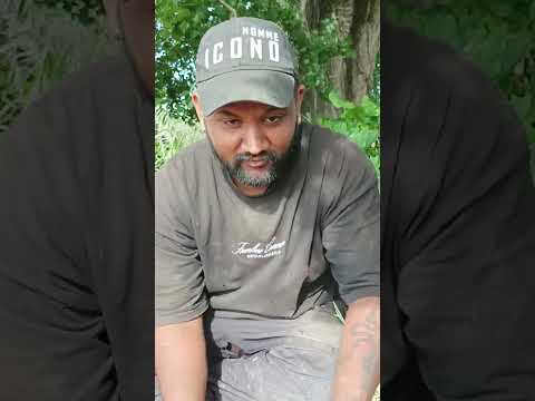 Portugal Strawberry 🍓 Work Agriculture Work Strawberry 🍓 Blueberry 🫐 Work in Portugal 🇵🇹