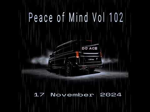 SLOW JAM MIX 2024 | 17 NOVEMBER | PEACE OF MIND VOL 102 | DJ Ace ♠️