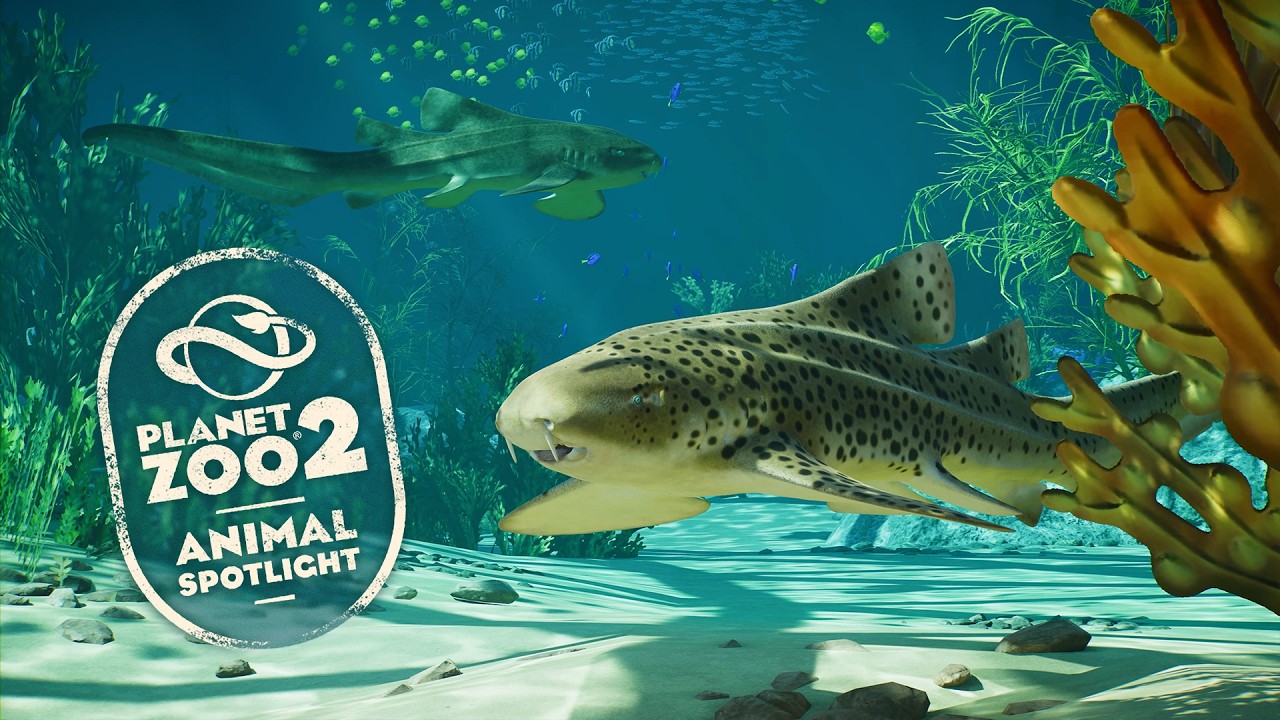 Planet Zoo 2 esplora il mondo sommerso con lo squalo zebra