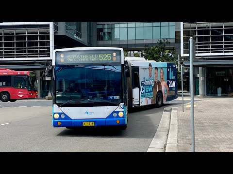 STA Sydney Buses: m/o 1714 - Volvo B12BLEA Euro 3 Custom Coaches CB60