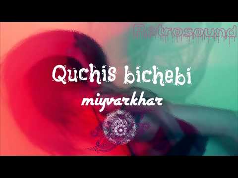 Quchis bichebi miyvarkhar (Geosound)
