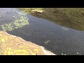 IMG0013