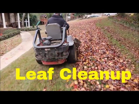 Leaf Clean Up Pricing, Tips, and Equipment Video