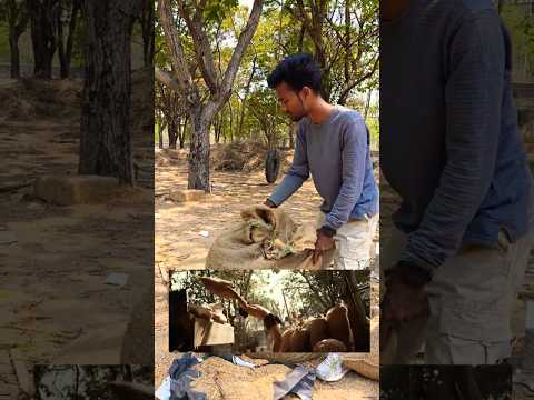 Fake Sack lifting In Pedhi Movie | Ram Introvert Filmmaker |