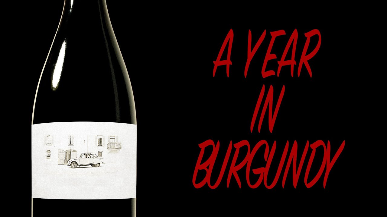 A Year in Burgundy | Full Documentary | FOOD & WINE