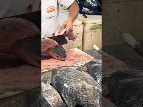 #amazonas #manausamazonas #feiramanausmoderna