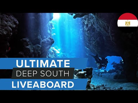 Deep South Red Sea Liveaboard | Ultimate Dive Safari w\@AggressorAdventures
