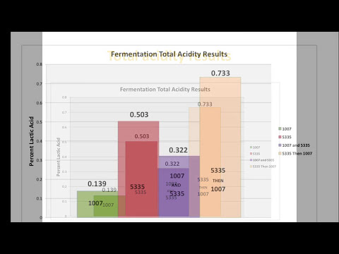 Homebrewing Berliner Weisse Style Beer (Presentation from HNC 2012)