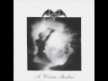 Tiamat - A Winter Shadow