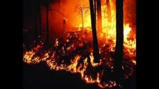 Carlos Vives - Londres ((Cover)) letra