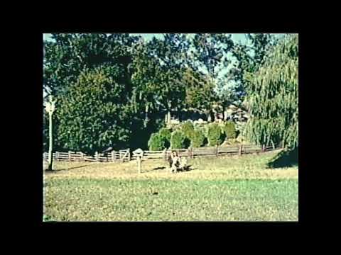 MGM Cartoon Original (1963) The Incredible Journey Ending