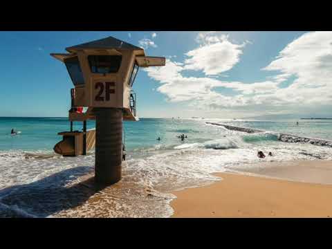 Brother Noland   Look What They've Done