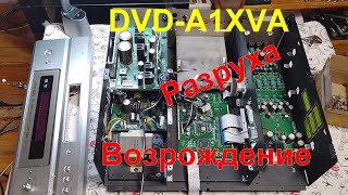 DVD-A1XVA профилактика и обзор устройства