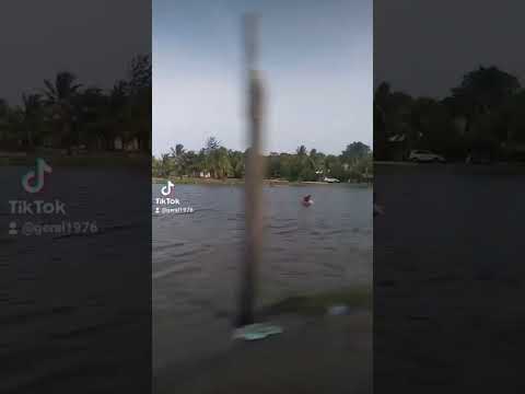 Tornabe, Tela, Atlántida. Honduras.