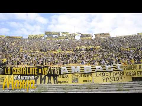 "Peñarol 2 - 1 Defensor Sp. - Camaramanya.com" Barra: Barra Amsterdam • Club: Peñarol