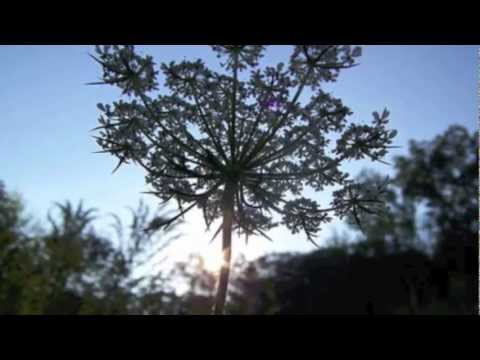 Coba Stella - Spiritual Healing