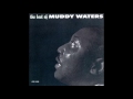 Muddy Waters - 20.Standing Around Crying - 2018 Chinatown Muddy Waters - 20.Standing Around Crying
